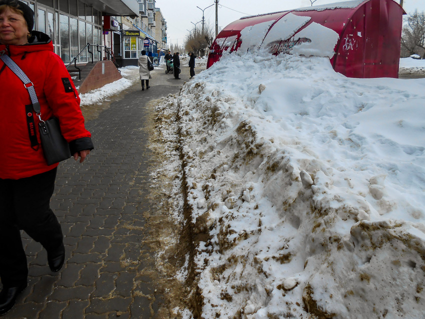 Весна сразу переходит к «плюсу": погода в Камышине 