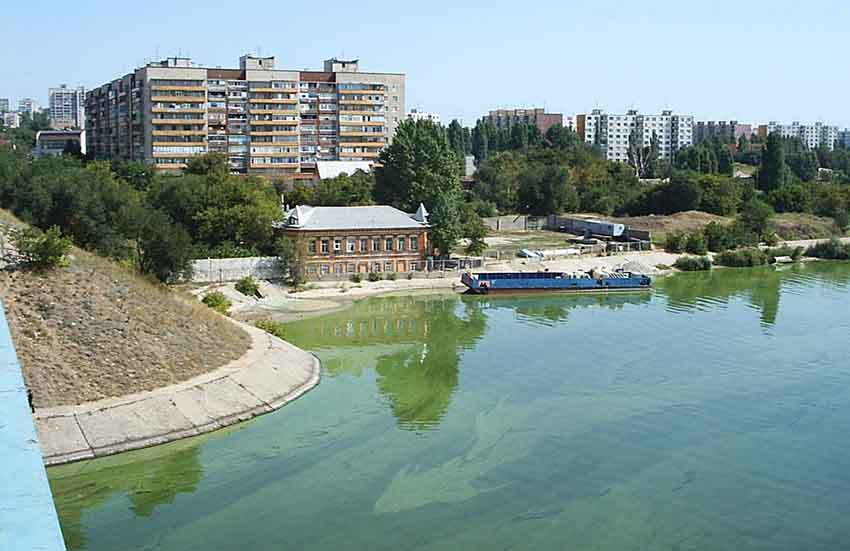 С возвращением жарких дней начала зацветать Камышинка