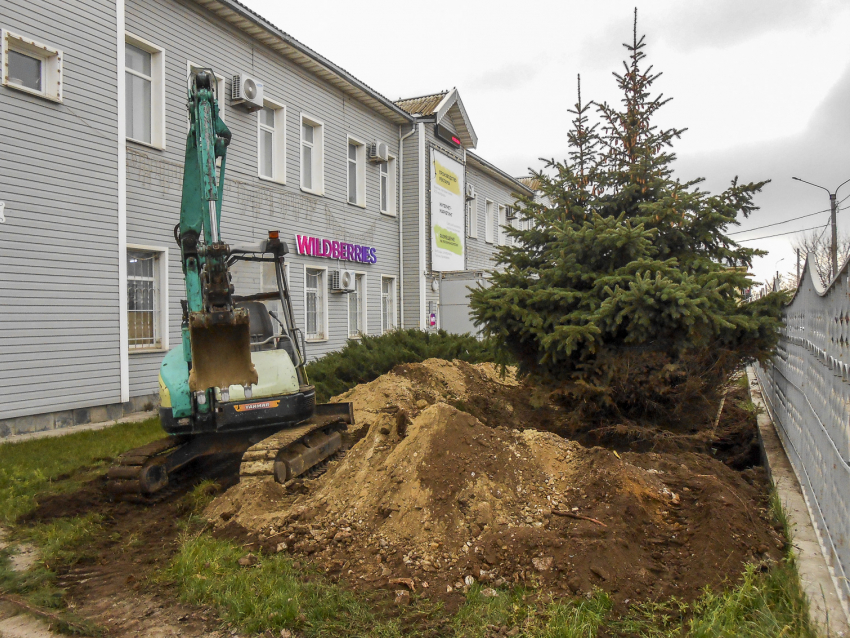 Куда выселяют елочки с улицы Текстильной, так пока и не известно, - камышанка