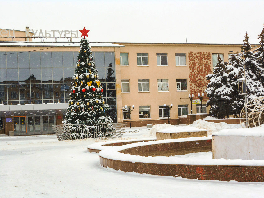 В Камышине городские елки оказались долгожителями