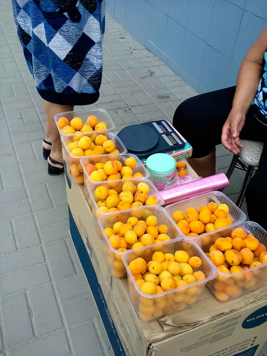 В Камышине завершается абрикосовый сезон