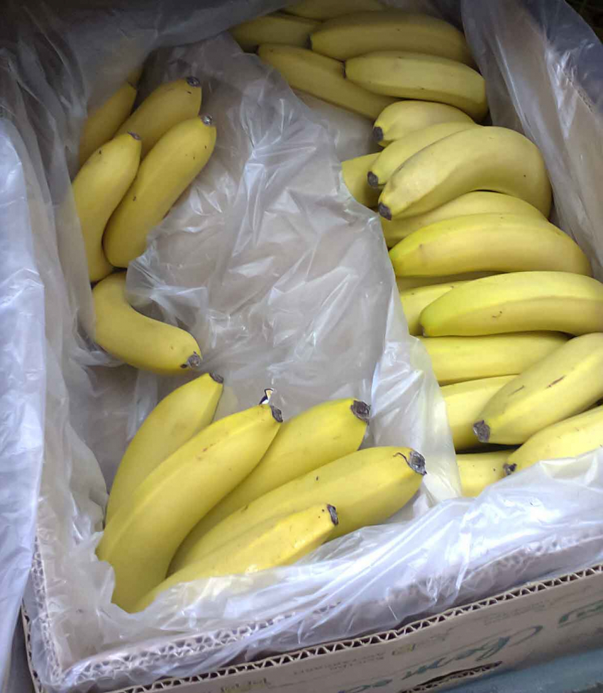 Цены на бананы резко рванули вверх в Волгоградской области