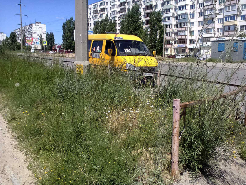 Товарищи из администрации, не пора ли выйти с косами на центральные улицы как бы города? - камышанка