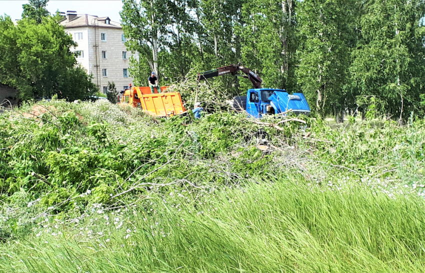 В Камышине около ЦДК «Дружба» установили зарядную станцию для электромобилей - ценой беспощадной вырубки деревьев