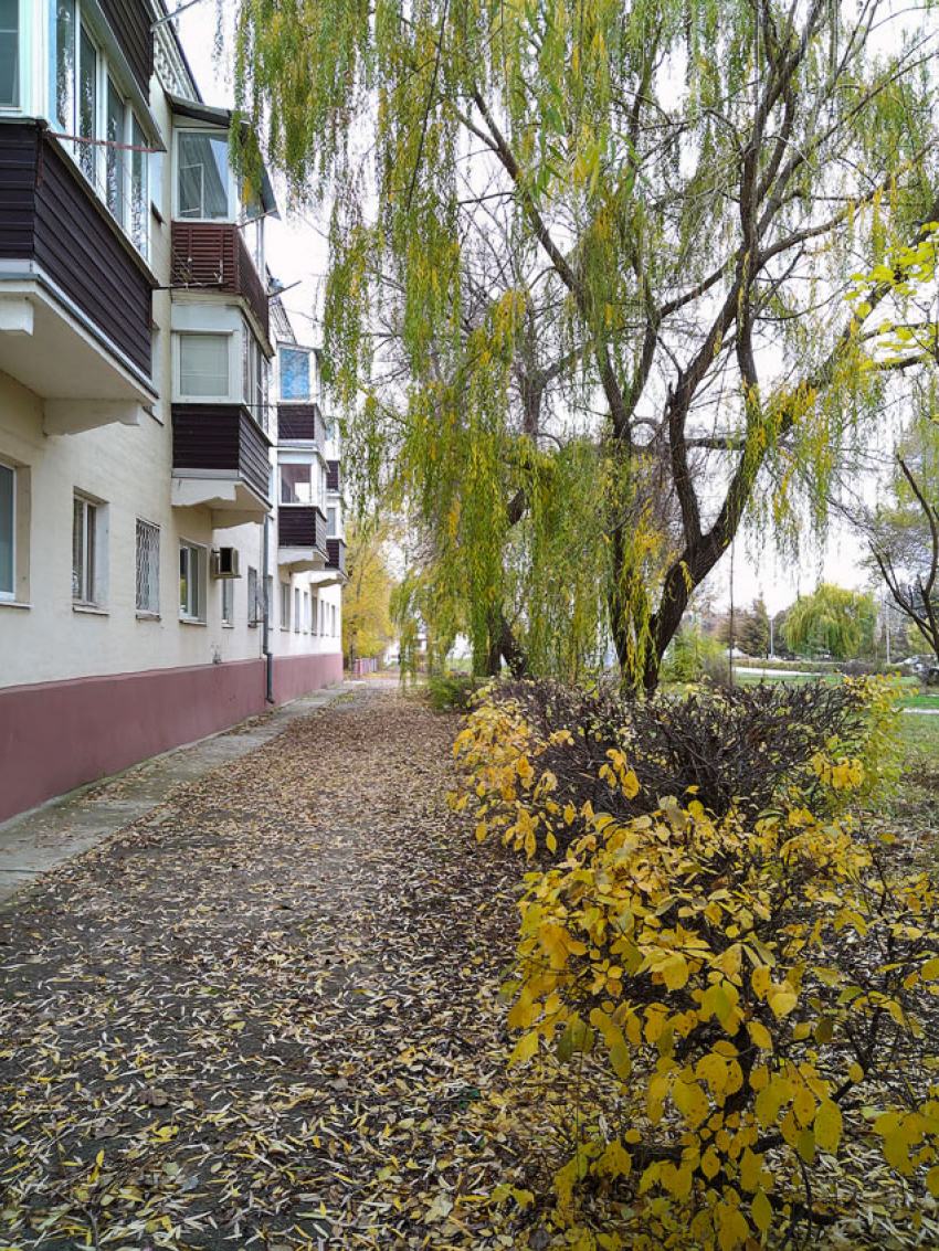 Завтра, 7 ноября, в Камышине отключают электричество в 7 МКД, школе и детсаду