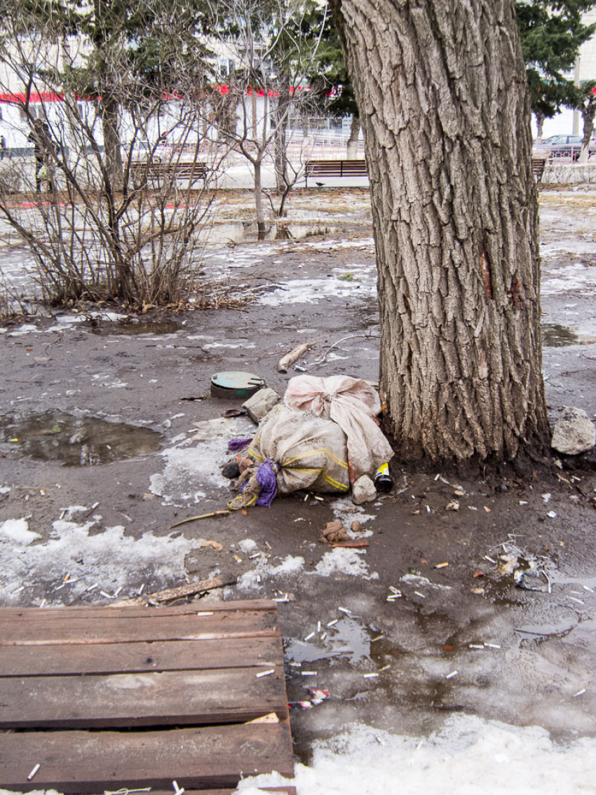 Не планируют ли торговцы с рынка у «Победы» выйти на субботник в загаженную «сосновую рощу» рядом? - камышанка