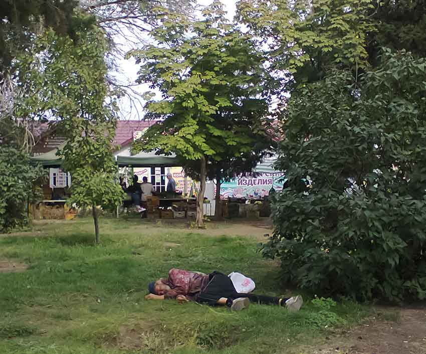 Камышинские выпивохи выбрали себе спальное место в самом центре города - на газоне на улице Ленина