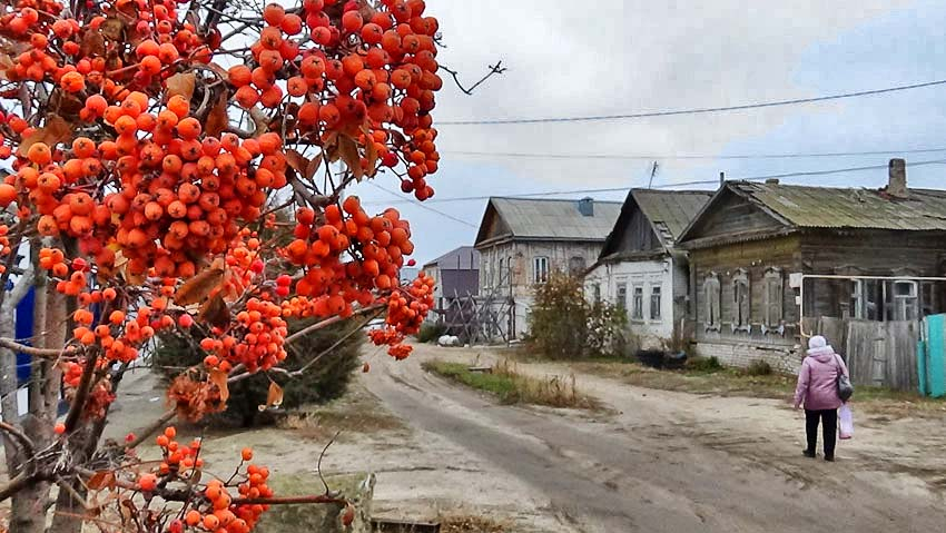 Синоптики пообещали камышанам свежие, солнечные дни