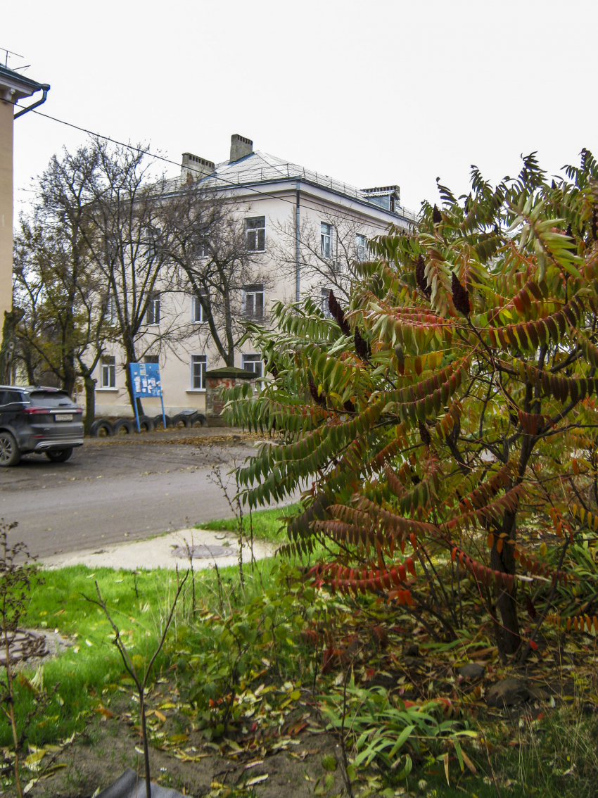 При южном ветре камышан ждет теплая суббота 29 ноября