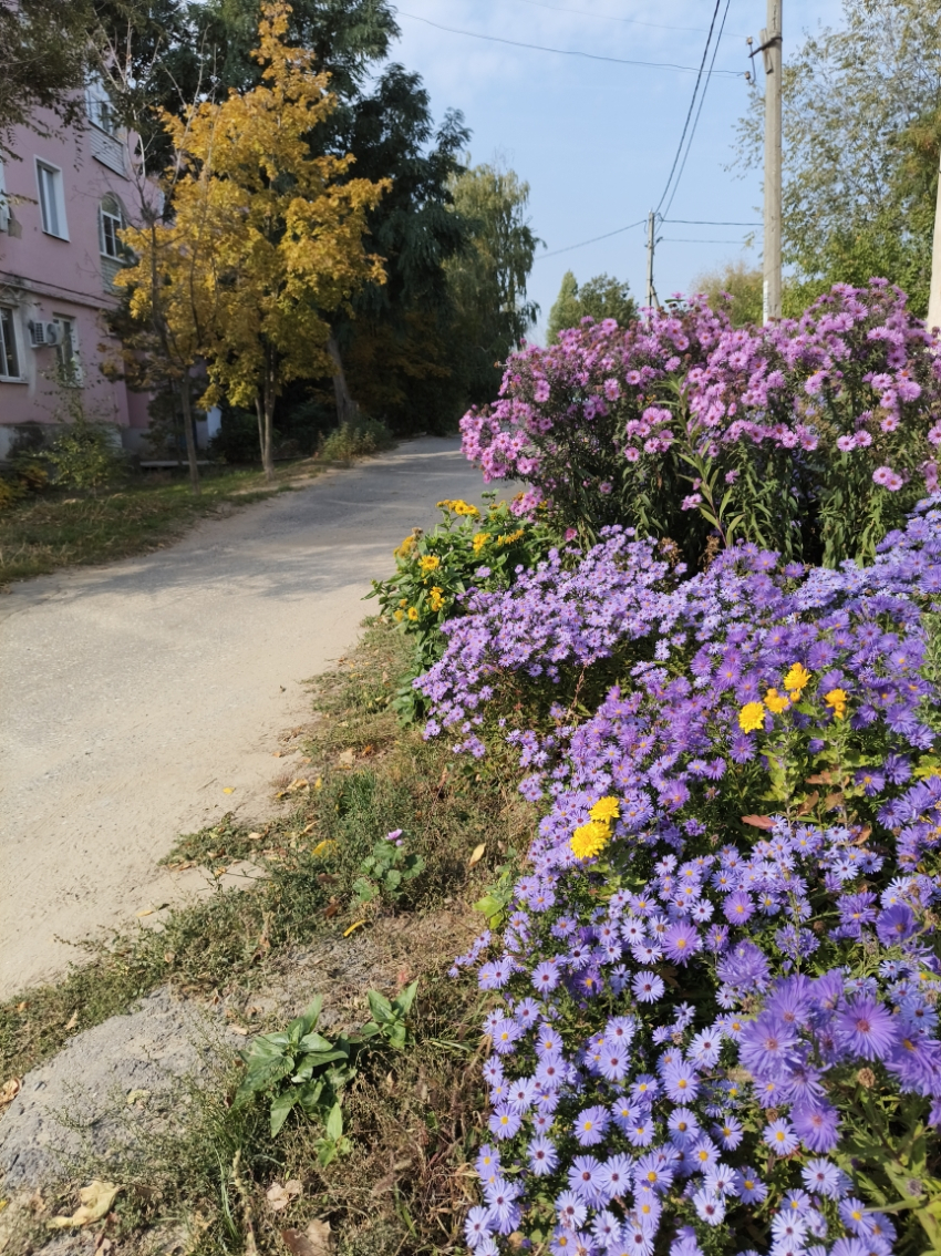 Днем многочисленных отключений света и горячей воды станет в Камышине сегодняшнее 14 октября