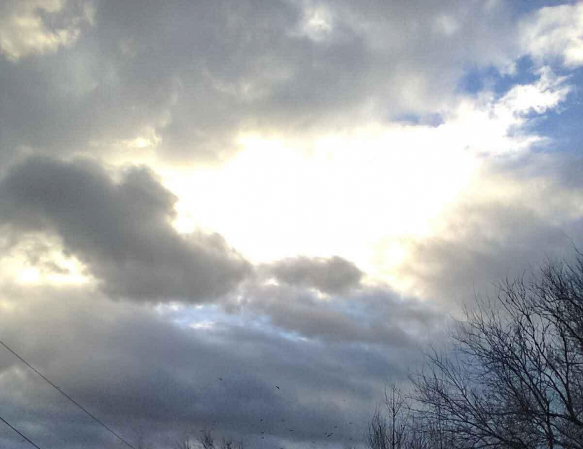 Фигуранту надоело ухаживать за 81-летней больной матерью, и он стал душить бабушку сначала подушкой, потом шарфом - до смерти...