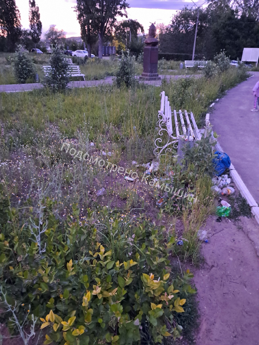 В Камышине сквер Александра Невского на 3-м городке зарастает сорняками, - камышанка