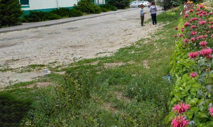 Почему в Камышине суд отменил наказание административной комиссии для собственницы авто, припарковавшегося на «зеленой зоне» 