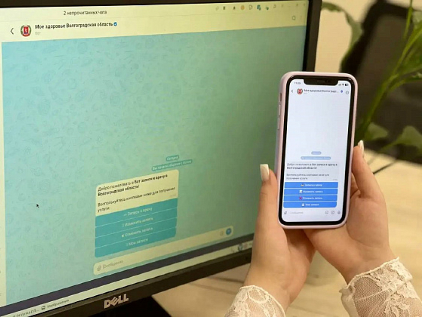 Пресс-служба губернатора Волгоградской области советует камышанам записываться на прием к врачам через МАХ