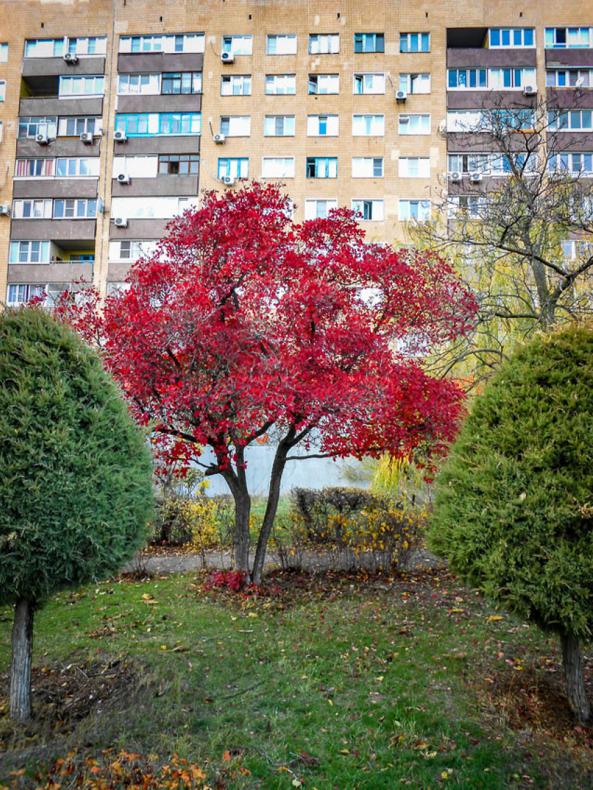 В Камышине энергетики дали камышанам «передохнуть» с отключениями света и завтра, 5 ноября, начинают их вновь
