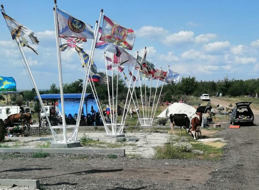 На воинском участке муниципального кладбища в Камышине родные погибших бойцов обнаружили в День России коров, «раскидывающих мордами цветы"