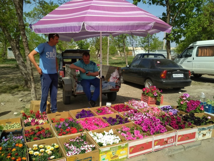 В Камышине открылись цветочные базары