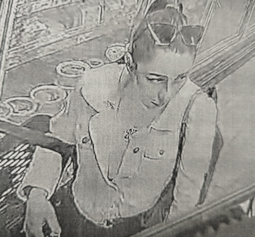 Полиция Камышина просит помощи в установлении подозреваемых в кражах