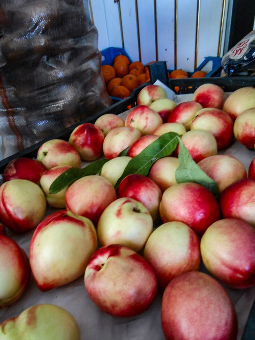 Краснобокие персики не «испугались", переплыли Персидский залив и прибыли в Камышин?