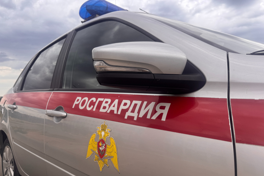 В Камышине росгвардейцы задержали молодого человека, подозреваемого в тяжком преступлении