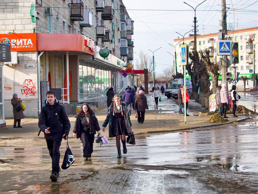 Власти Камышина напомнили, что с завтрашнего дня начинается поквартирный обход избирателей перед выборами президента