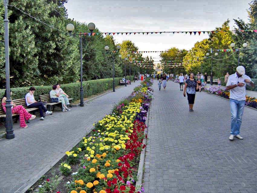 Зарплата айтишников продолжает расти в Волгоградской области