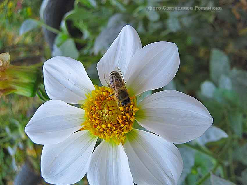 В Камышине пройдет короткий дождь, но понедельник будет теплым - перед похолоданием