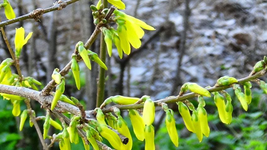 Синоптики велели камышанам приготовиться к снегу сегодня, 22 апреля