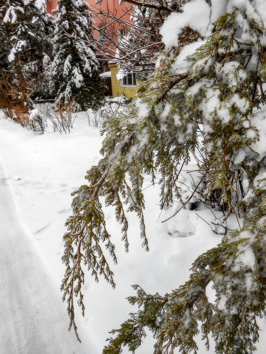 Синоптики велели камышанам приготовиться к крепким морозам: погода 14 января