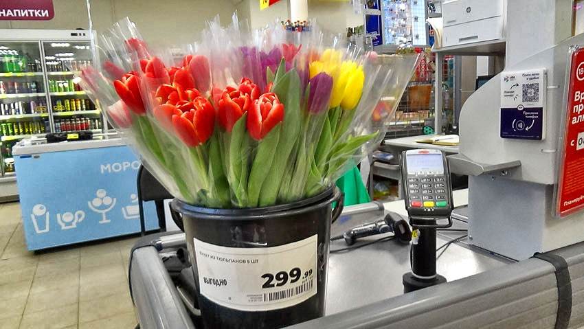 В Камышине магазины-сетевики «затарились» живыми тюльпанами перед Днем всех влюбленных