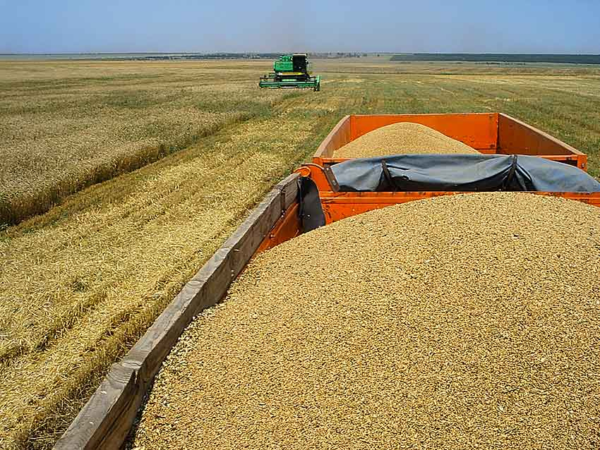 Андрей Бочаров объявил о сборе 5 млн тонн волгоградского зерна