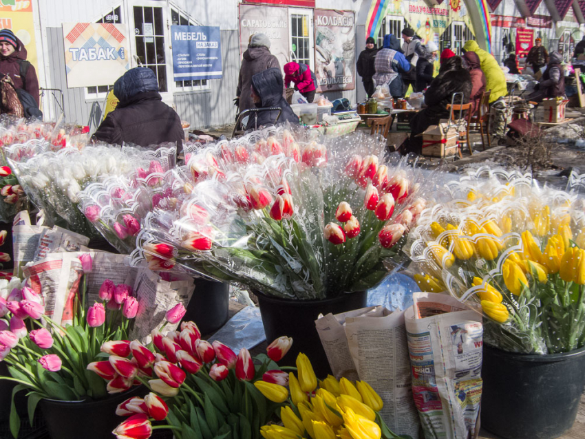 Камышин за два дня до праздника 8 марта захлестнуло море тюльпанов, нарциссов и мимозы