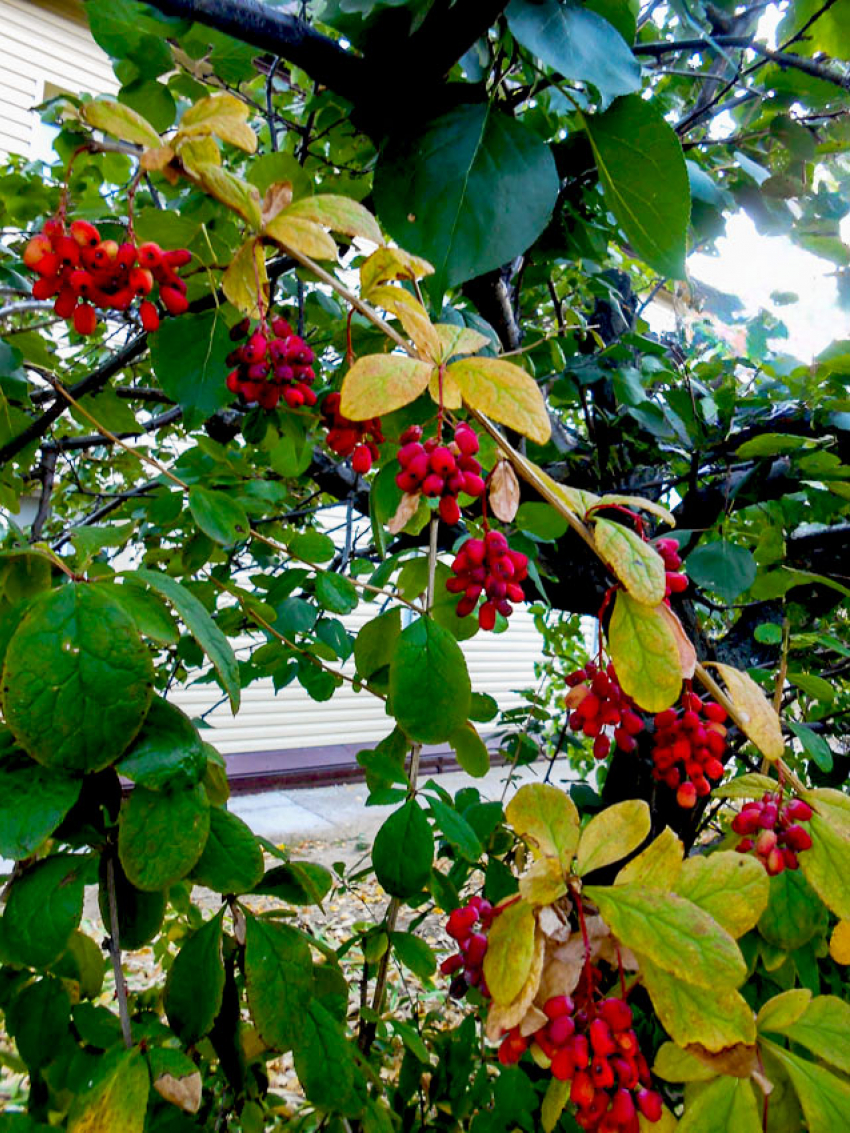 Свежо и солнечно: погода в Камышине на выходные