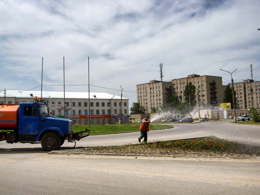 В Камышине озеленители высадили цветочную рассаду и начали ее полив