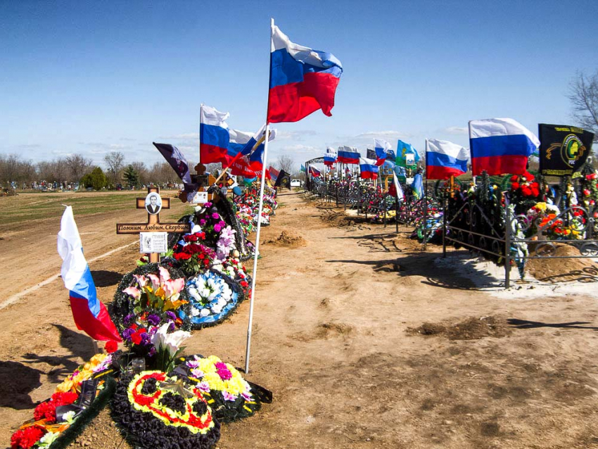 Родным погибших в СВО камышан администрация города все-таки пообещала высадить на участке захоронения героев деревья, но только хвойные