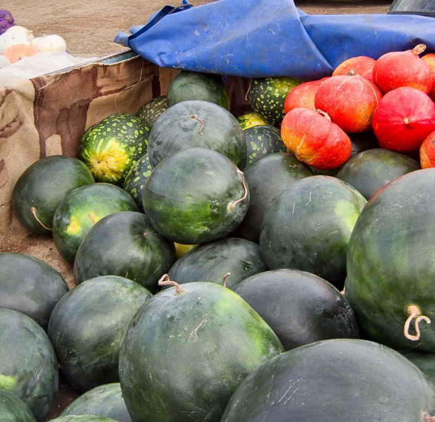 Администрация Камышина уведомила, что у нее нарасхват идут места под придорожные овощные ярмарки