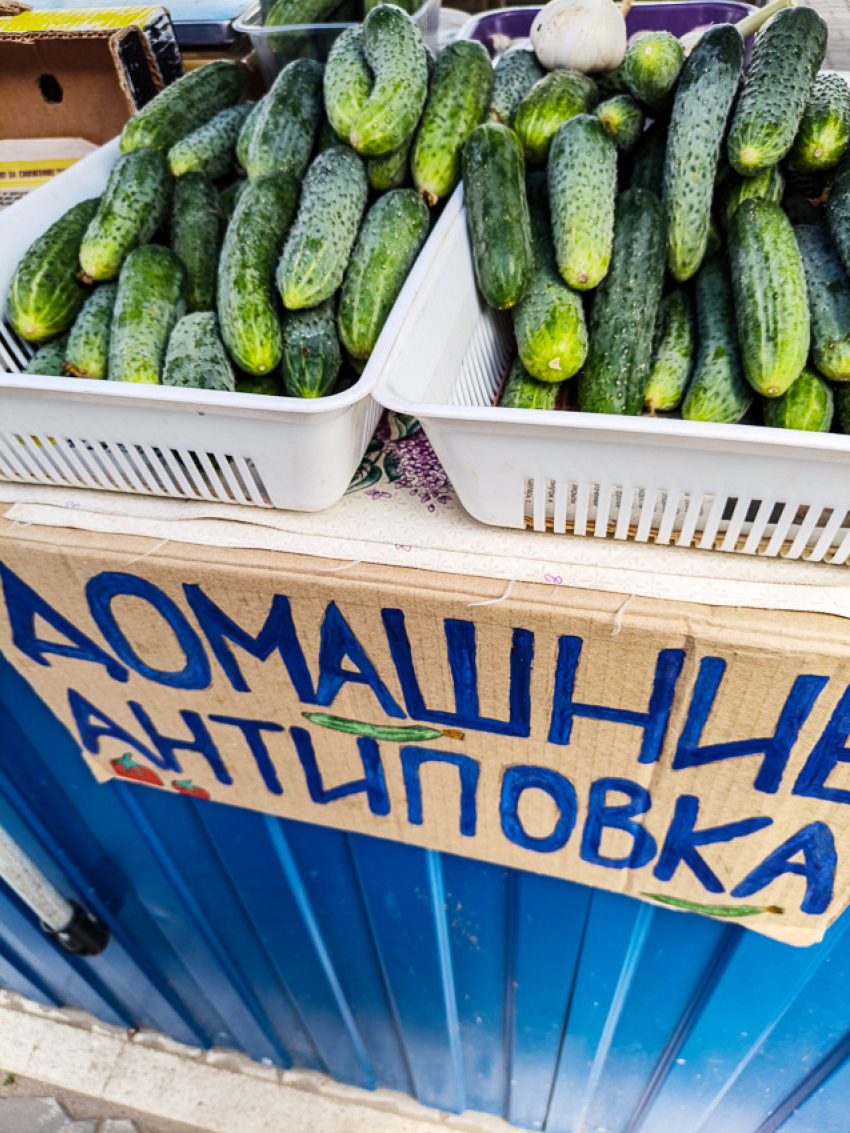 В разгар июля в Камышине  продавцы не хотят отдавать огурцы дешевле 140 рублей