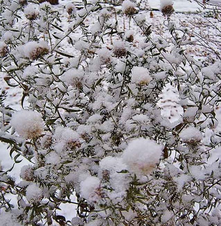 В Камышин приходит потепление с небольшим снегом