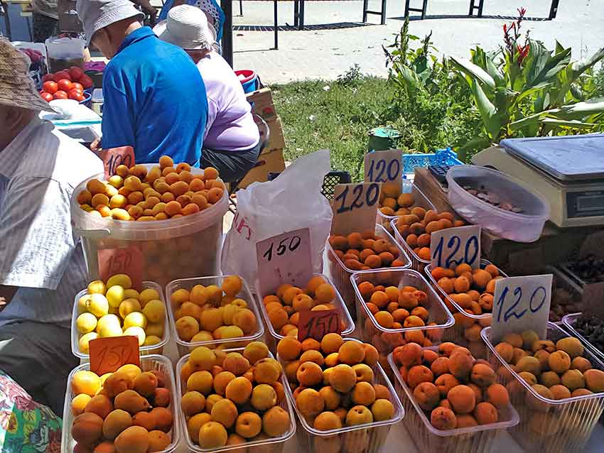 В Камышине начался «абрикосовый бум", но горожане считают сезон абрикосов неудавшимся