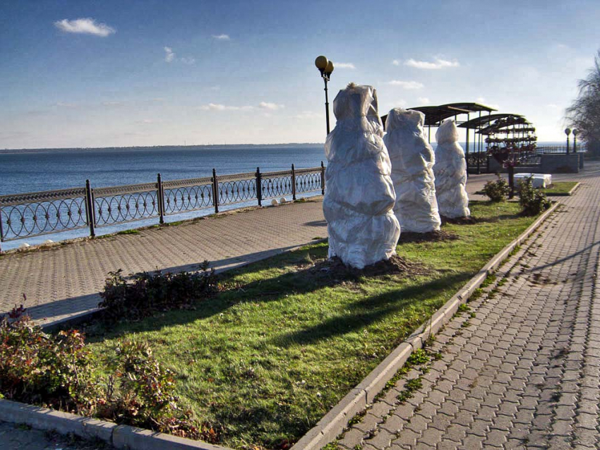 4-5 градусов мороза и никакой слякоти: погода в Камышине на 7 декабря