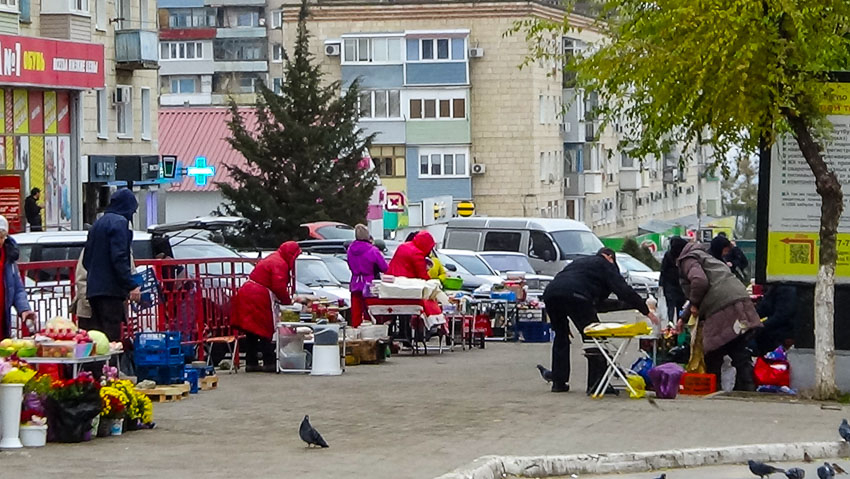 В Камышине сегодня, 11 ноября, «просто» облачно, а завтра дождь