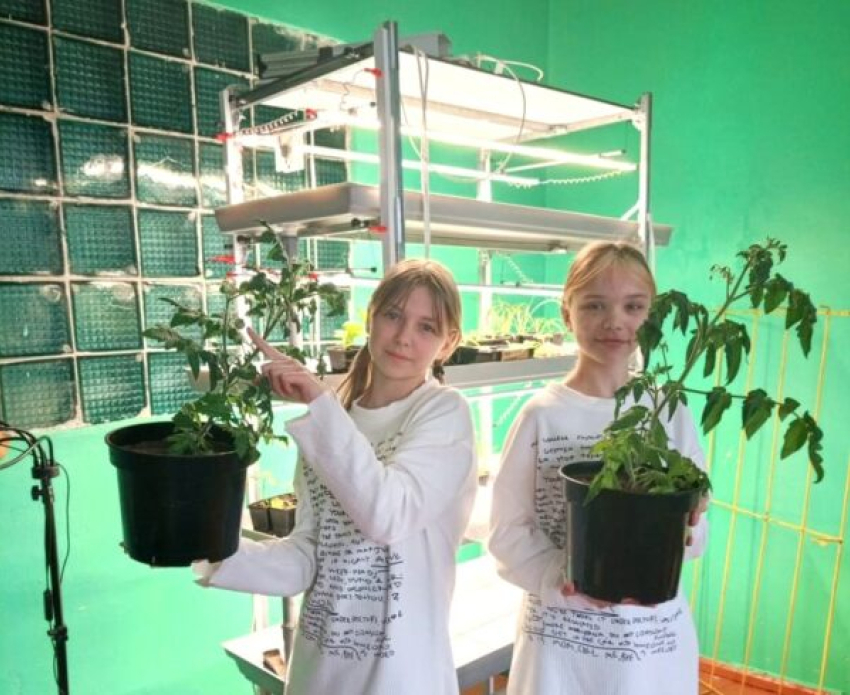 В Камышинском районе открывают профильные агротехнические классы