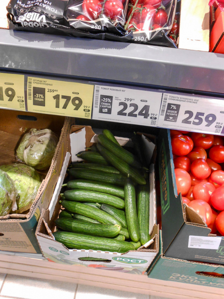 В Камышине начали дешеветь тепличные свежие огурцы