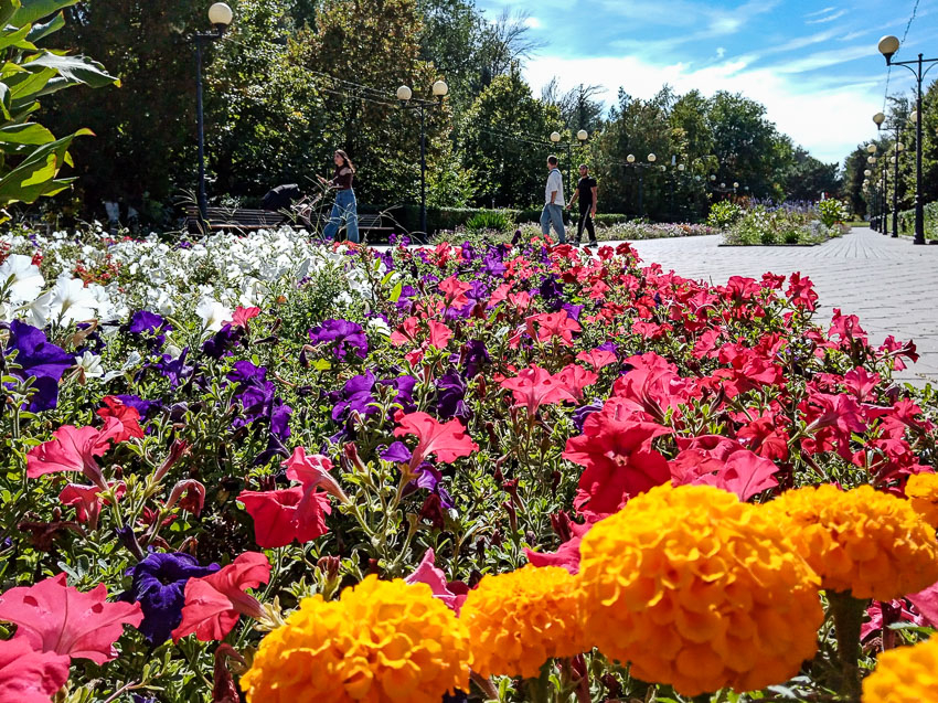 Глава Камышина Станислав Зинченко «раздал» поручения своим подчиненным по поводу празднования в городском парке 357-й годовщины Камышина 14 сентября