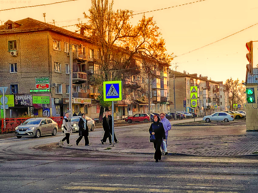 Скоро совсем запретят: WhatsApp* перестал работать в Волгоградской области