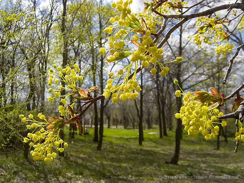 Только что стало известно: в Волгоградской области скончался от коронавируса девятый зараженный 