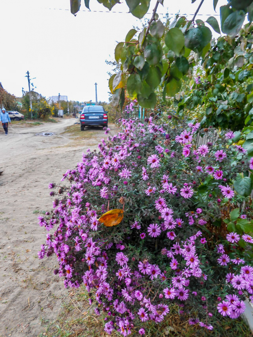 Небольшой дождь и геомагнитный шторм  спрогнозировали синоптики для камышан 12 октября