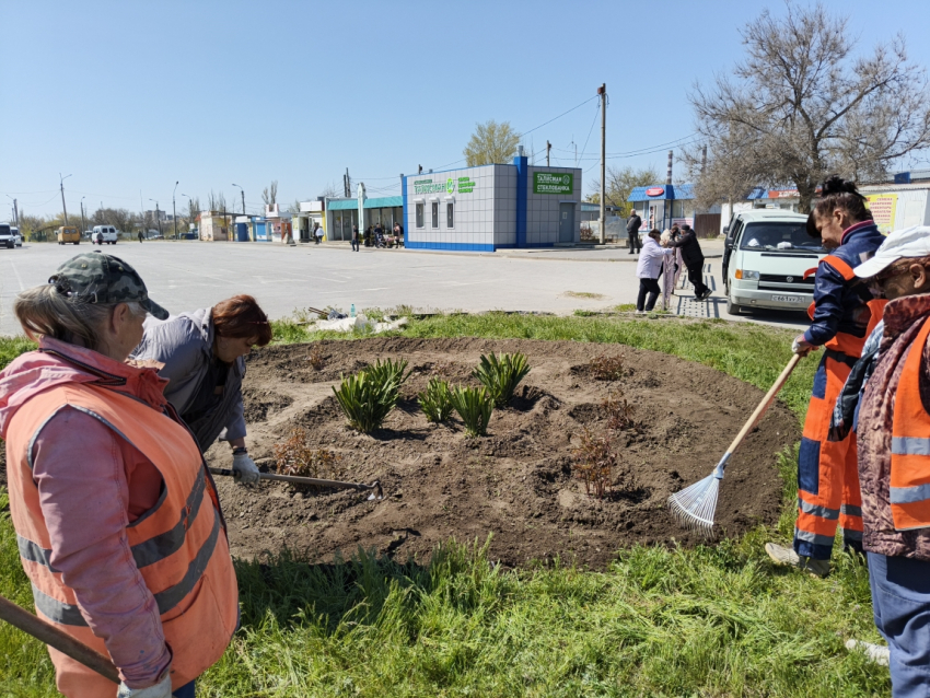 В Камышине «оранжевые жилеты» высадили клумбу из ирисов и пионов у рынка на «Молодежной"