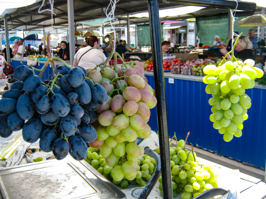 В Камышине начали продавать виноград по супердорогой цене