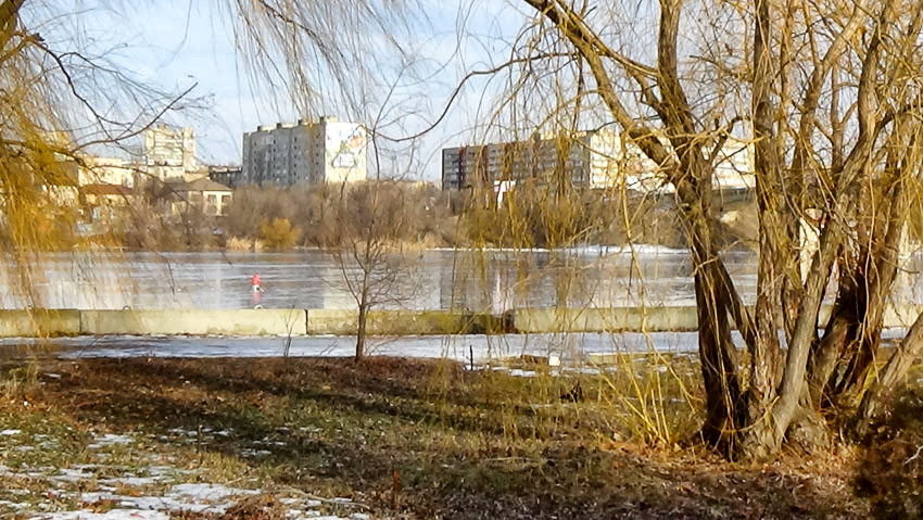 В разгар зимы термометры покажут весенние +4 - +6: погодная повестка на 3 января в Камышине